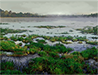 Boggy Fens
