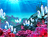 Crystal Reef