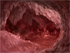 Dust Caverns