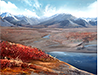 Fair Tundra