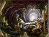 Fungal Caves