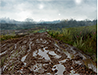 Nutritious Mudlands