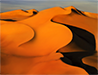 Searing Desert
