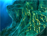 Submerged Ore Veins