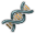 種族