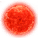 M型恒星