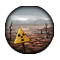 Irradiated