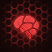 Sapient<br> Autonomous